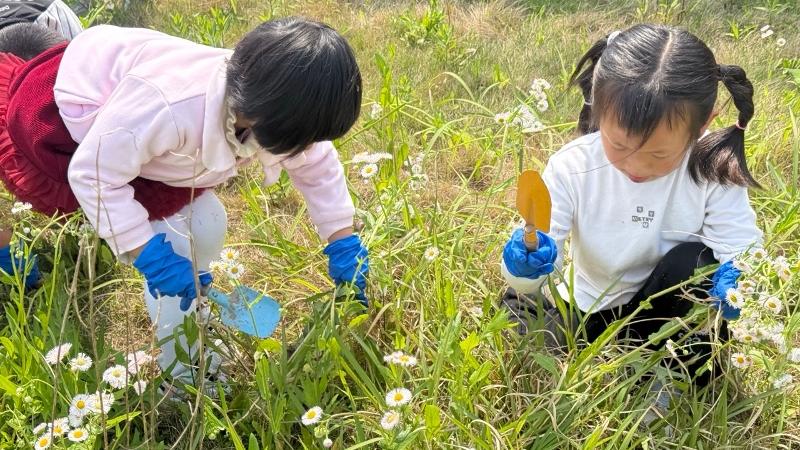 梁徐幼儿园：劳动润童心，实践促成长