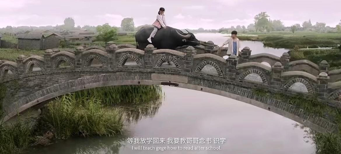 俞垛小学：寻访青铜葵花  厚植文化自信