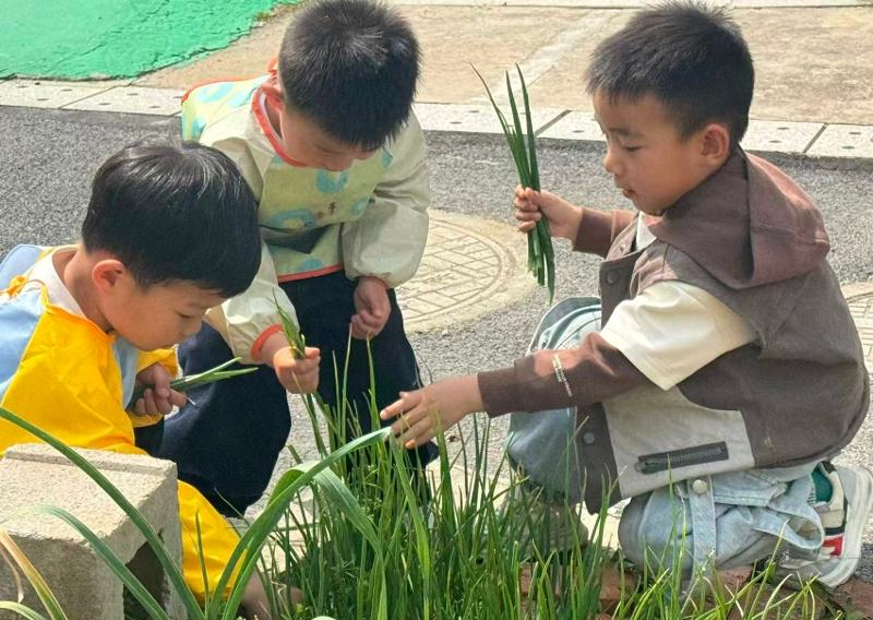 人口变局下公办幼儿园的教育坚守