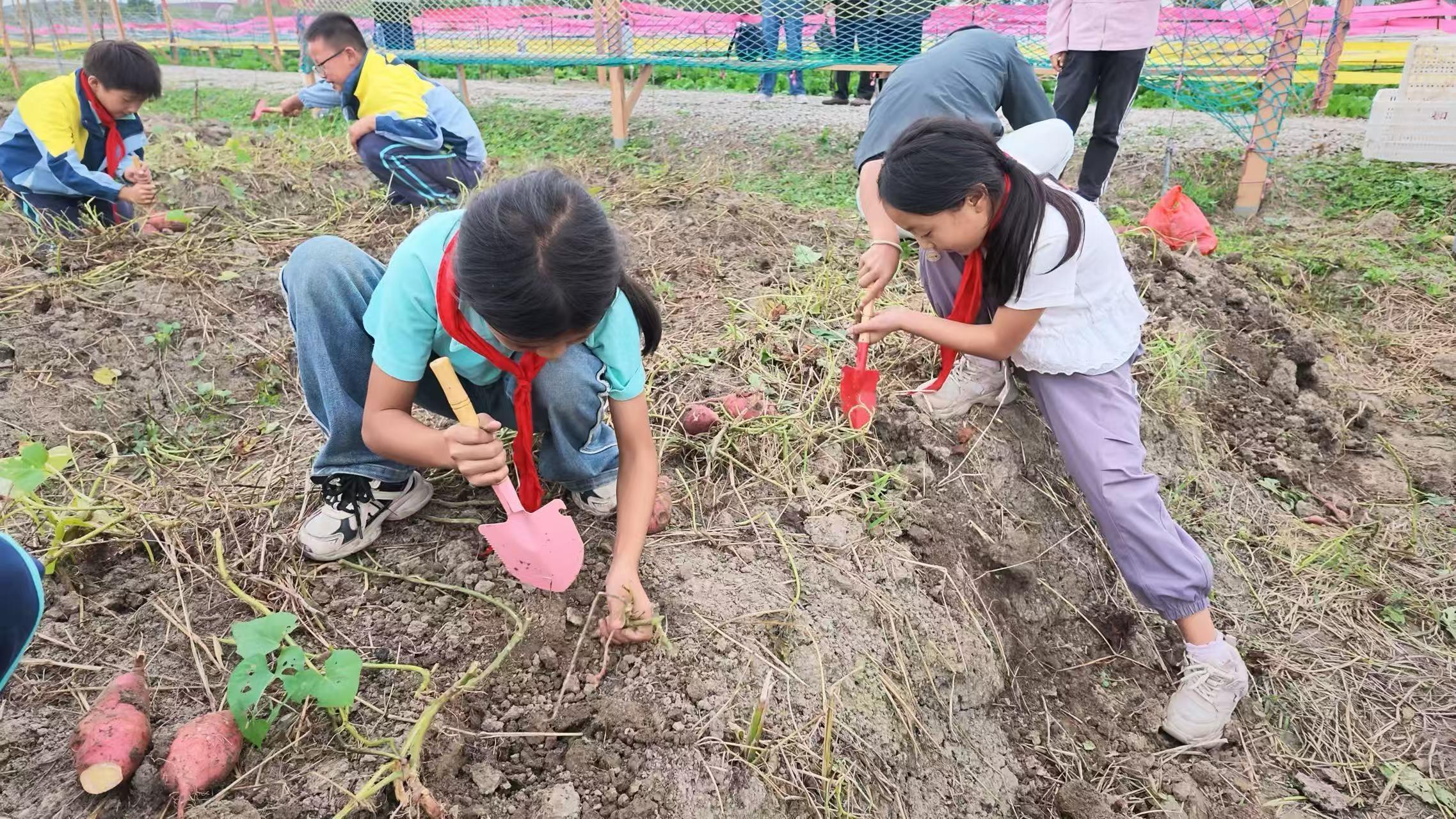 俞垛小学：活力田园践劳动 知行共育促成长